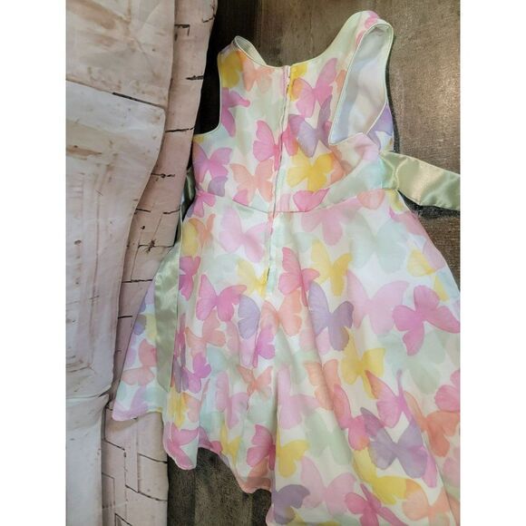 Youth Jessica ann Butterfly dress 3T spring - Picture 10 of 10